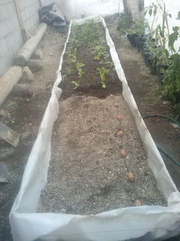 Instalación de sistema de riego Capsula de Riego